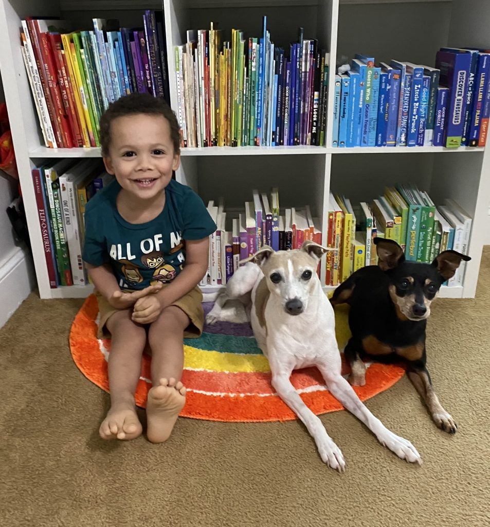 Little boy and dogs sitting in front of a full bookshelf